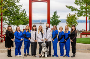 Hueston Family Dentistry team smiling